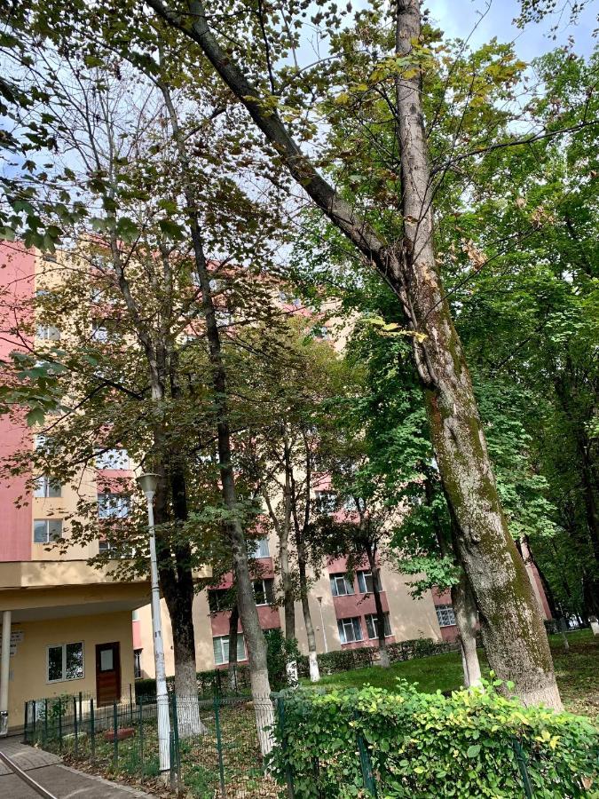 Luand Apartament Iasi Exteriör bild